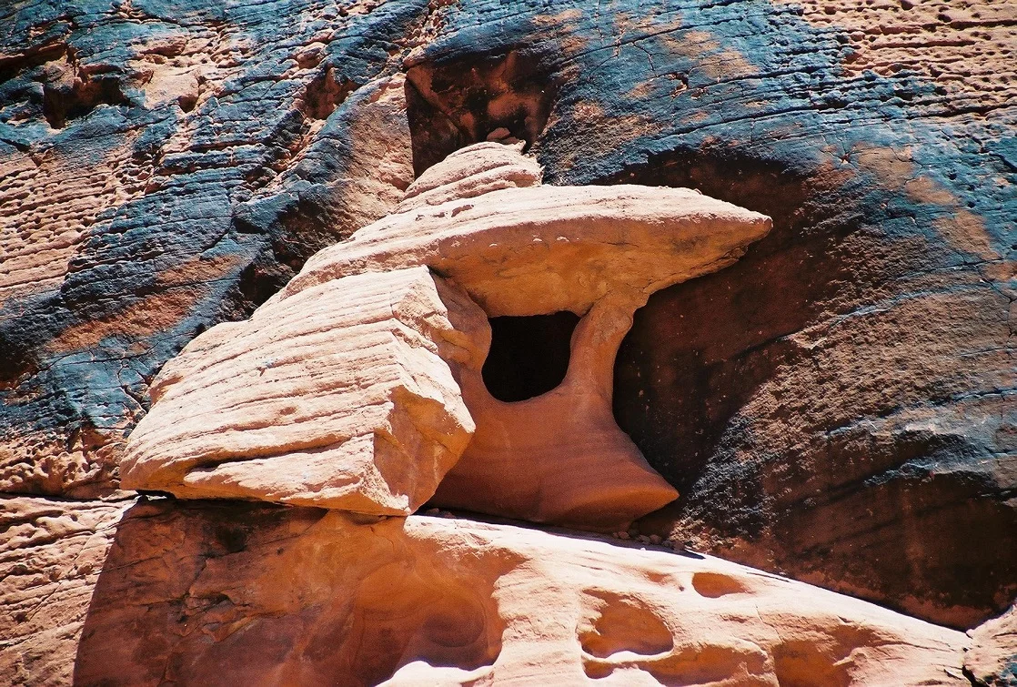Tucked Away Zion NP 09.jpg