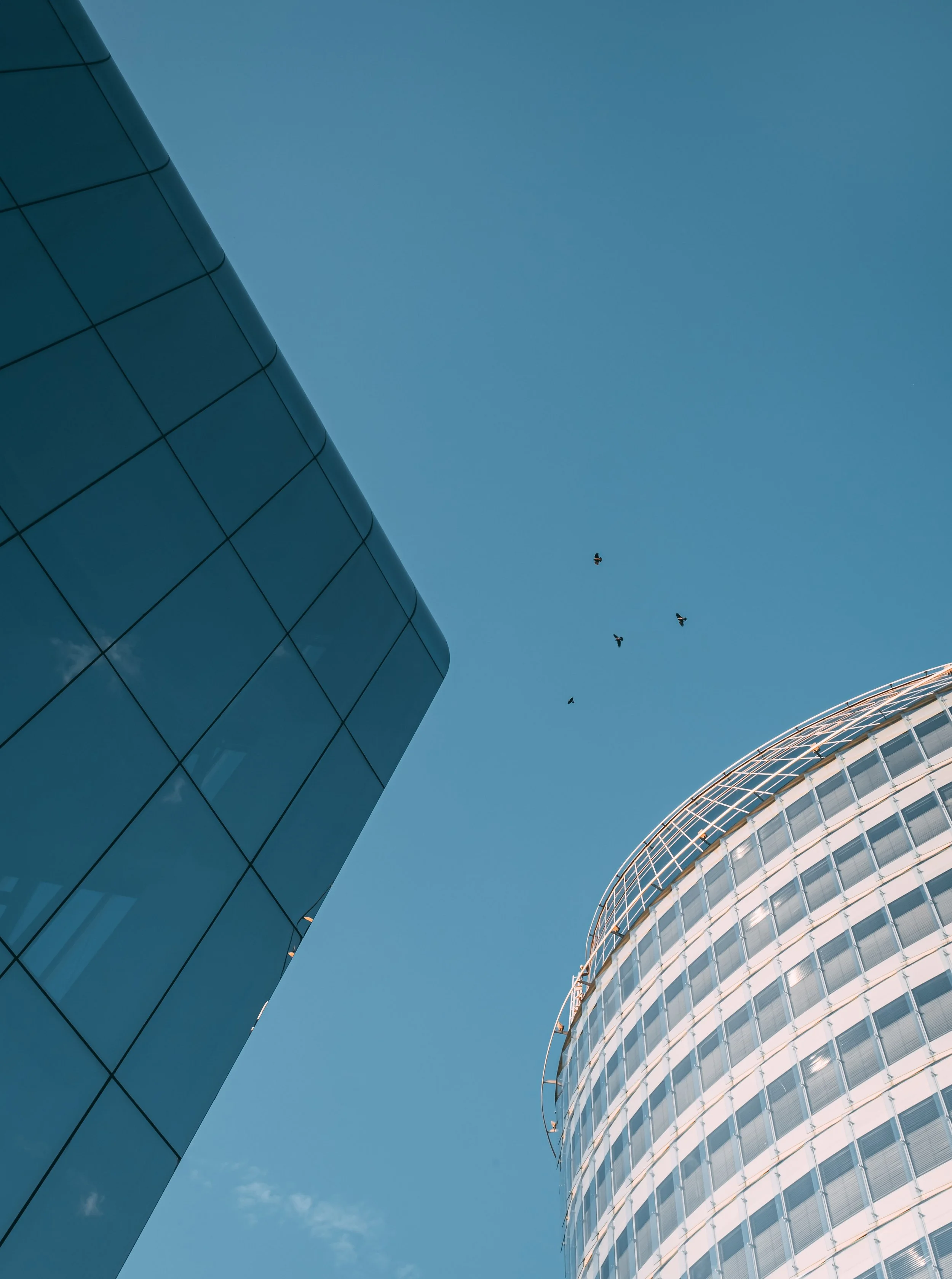 pexels-jovydas-pinkevicius-3115739.jpg
