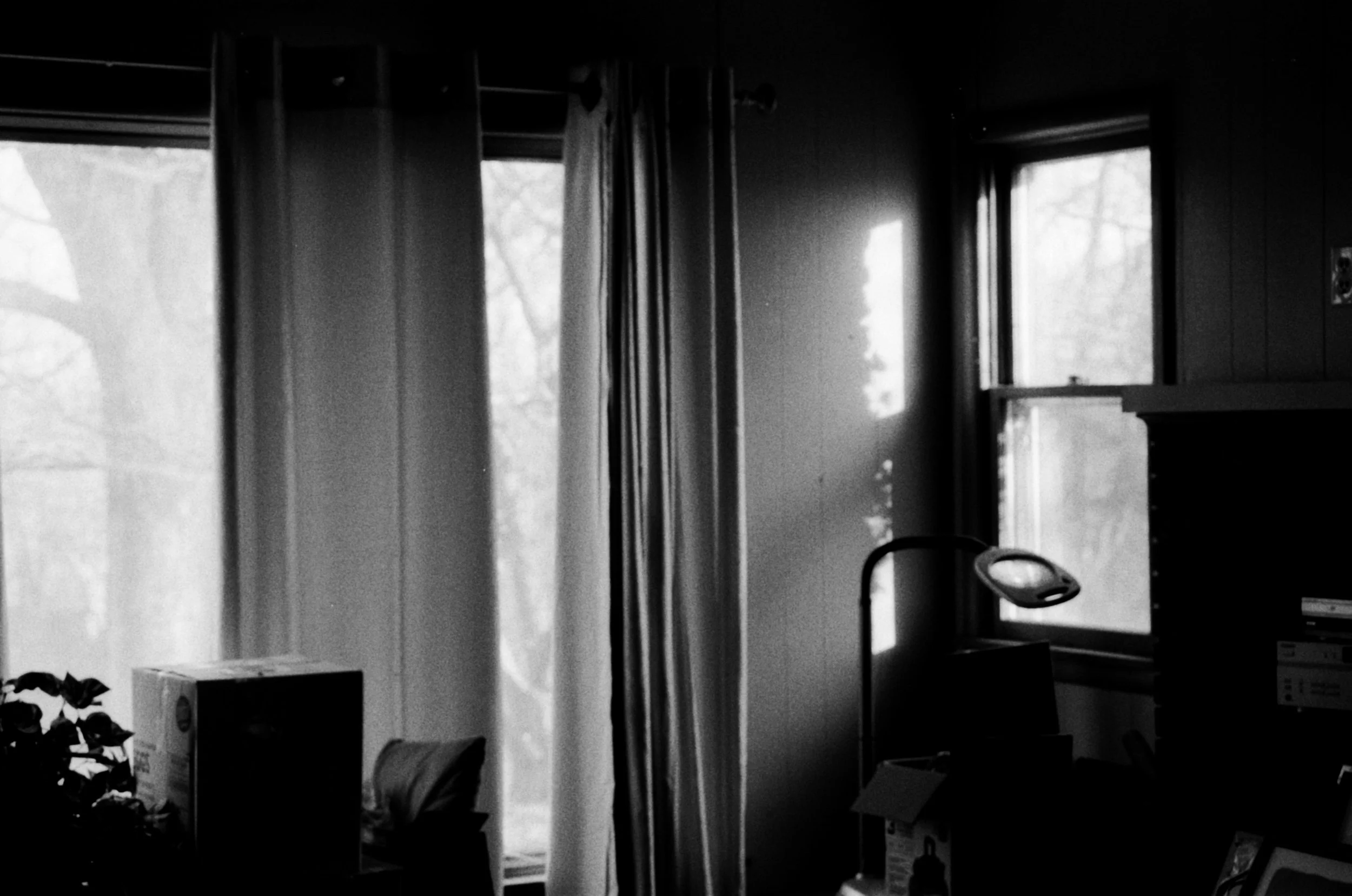 HP5 Christmas-07.jpg