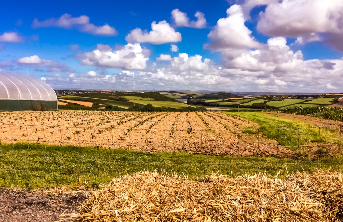 Hidden Craftworks Fields .jpeg
