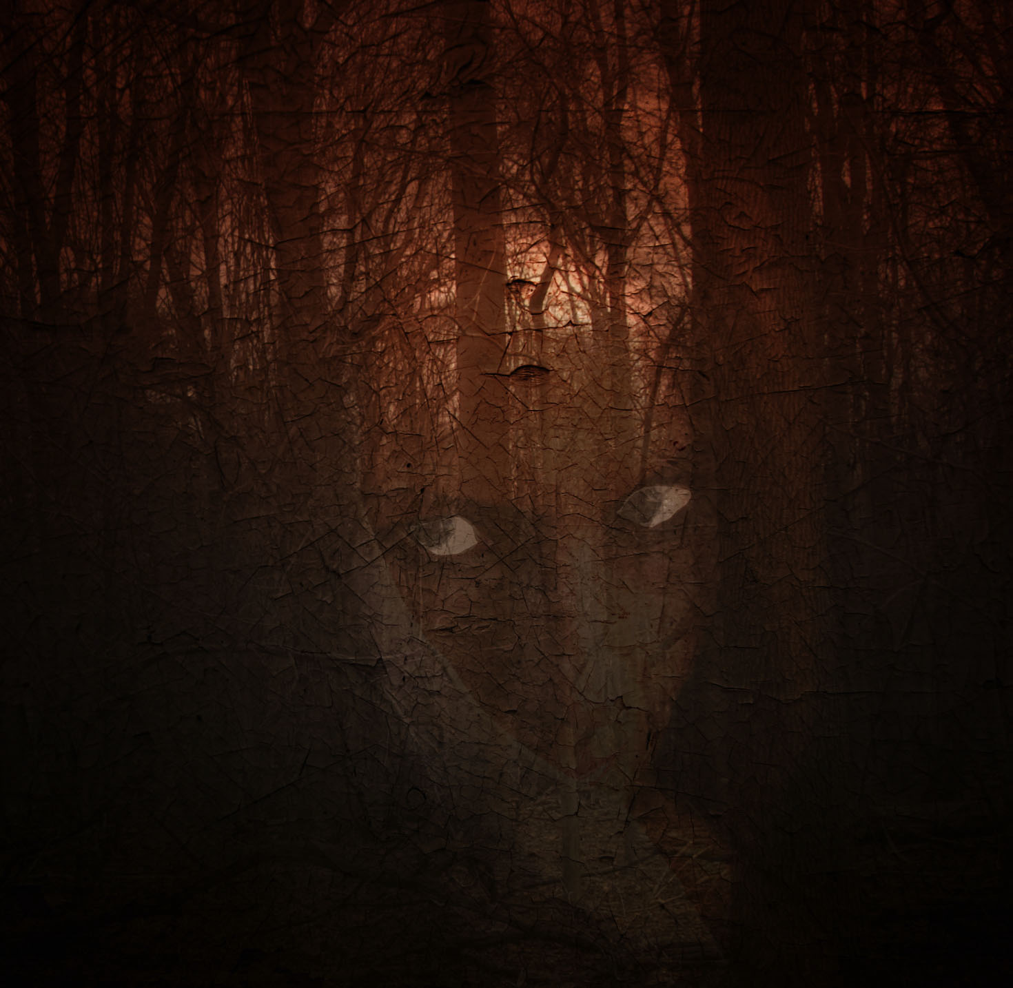 face in treees.jpg