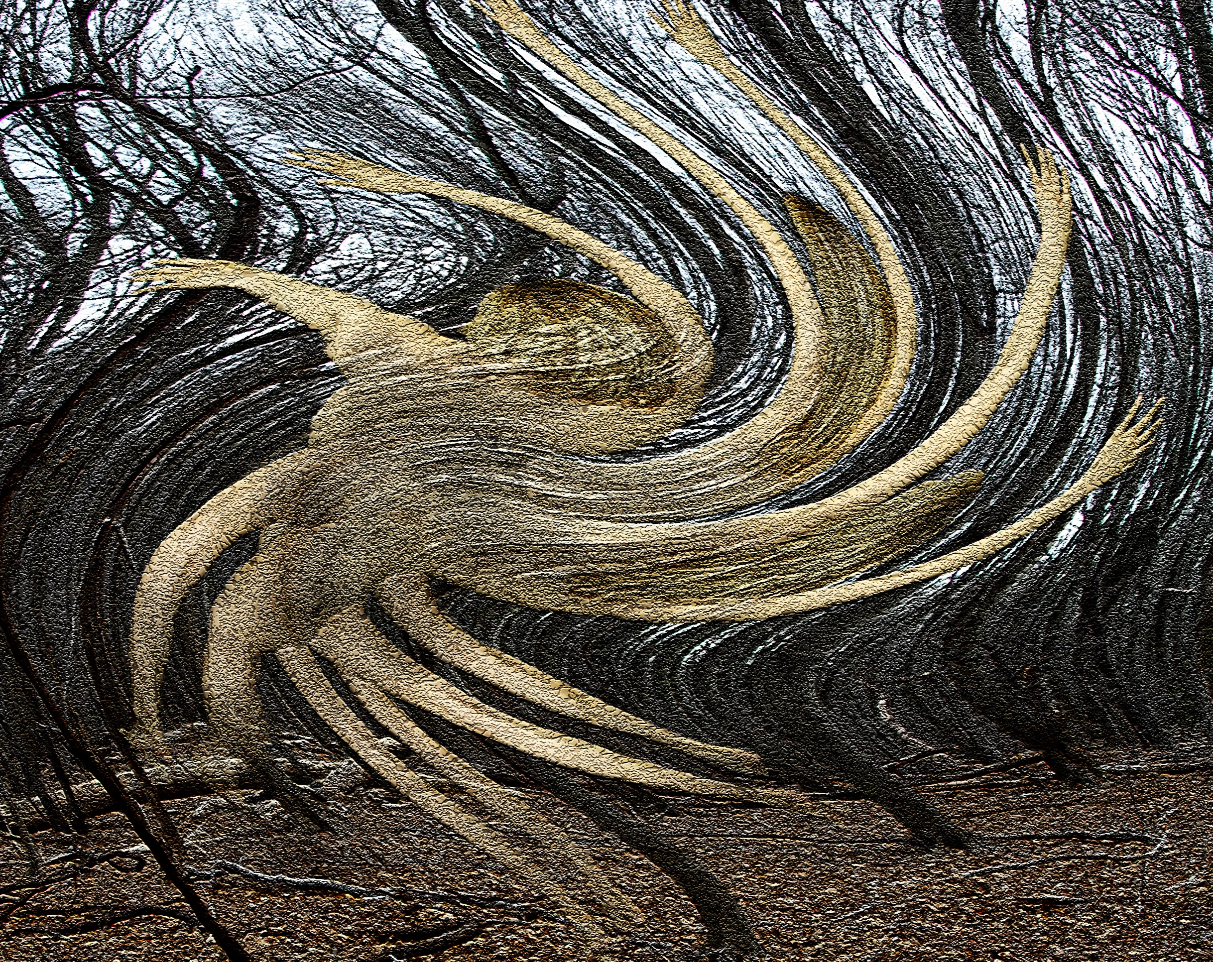 swirling forest.jpg
