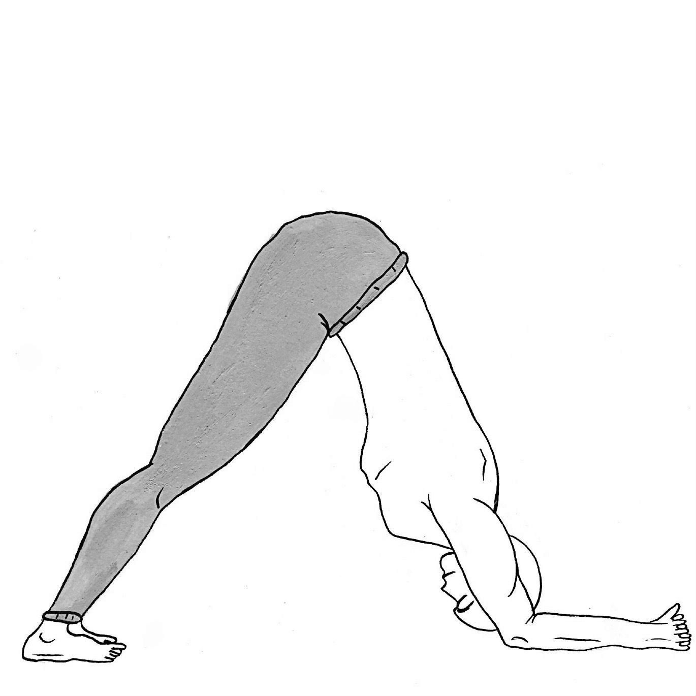 Dolphin Pose - Ardha Pincha Mayurasana