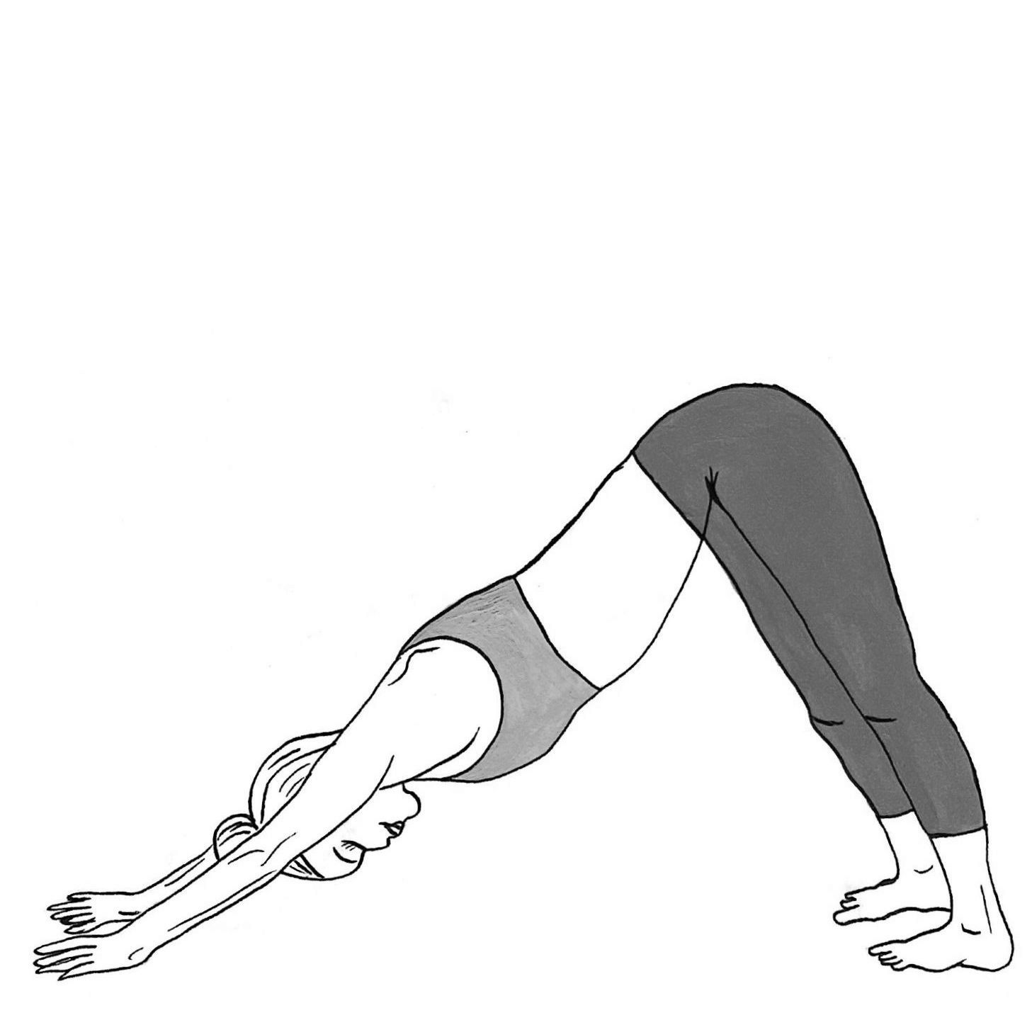 Downward Facing Dog - Adho Mukha Savanasana