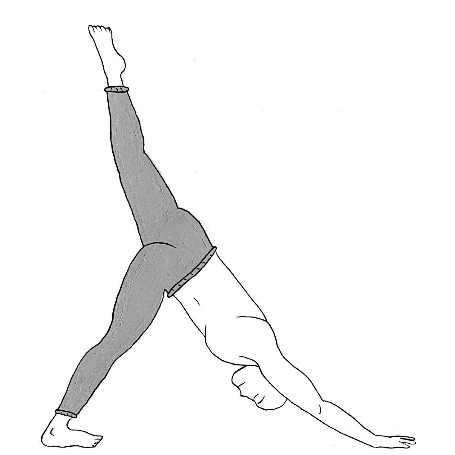 One-Legged Downward Facing Dog - Eka Pado Adho Mukha Svanasana