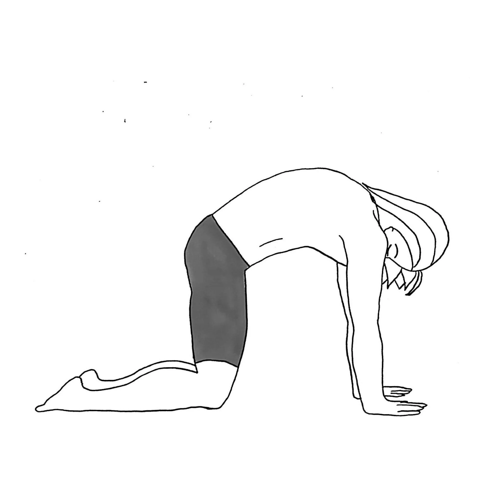 Cat Pose - Marjaryasana