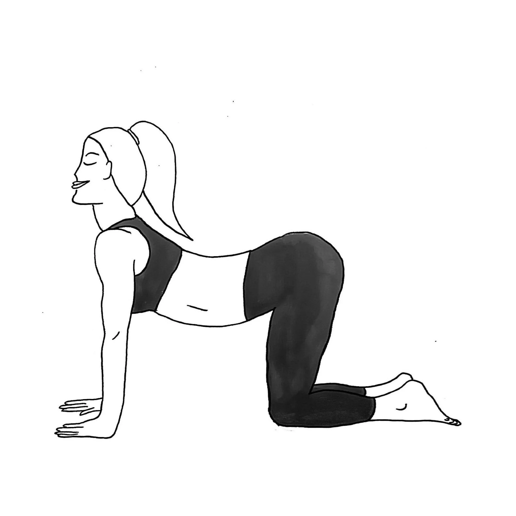 Cow Pose - Bitilasana