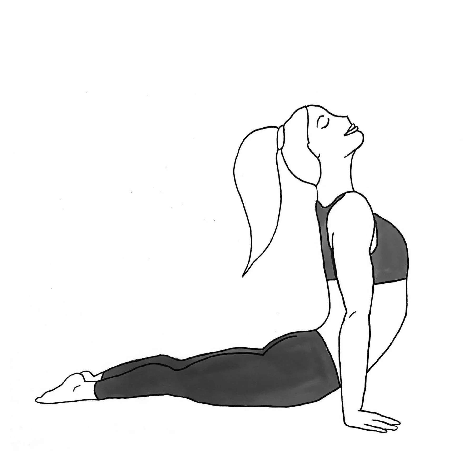 Upward Facing Dog - Urdhva Mukha Svanasana