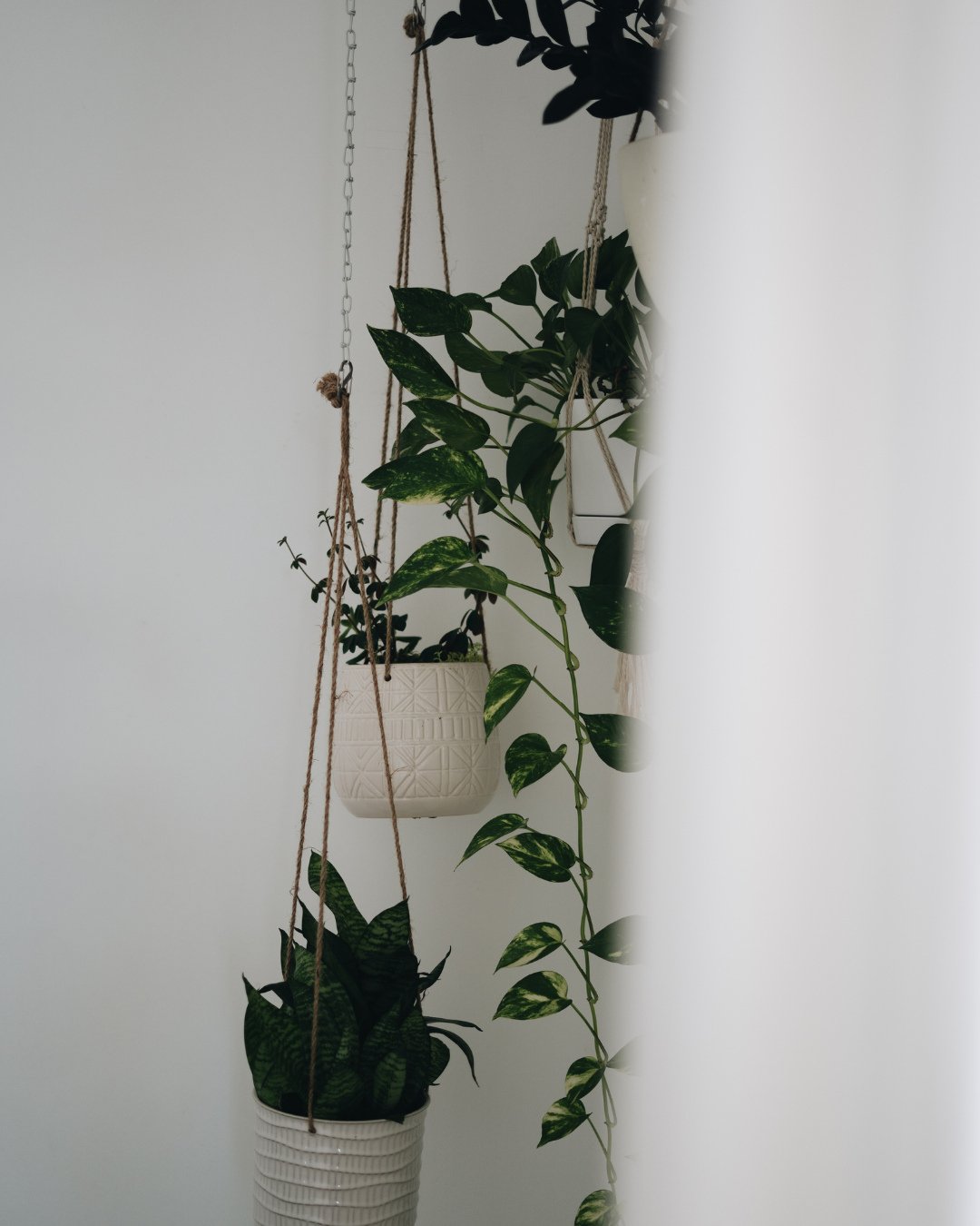 Breathe in. Root down. Grow up. 🌿⁠
⁠
Our space is designed with intention &mdash; to help you feel grounded, inspired, and at home.⁠
⁠
Just like these plants, we believe in growth at your own pace.⁠
Whether you come to move, to pause, or just to bre