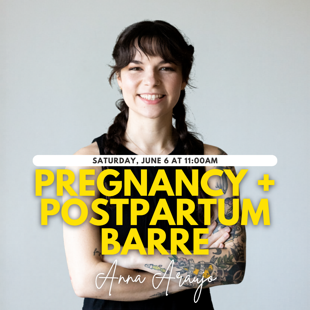 Pregnancy and Post Partum Barre