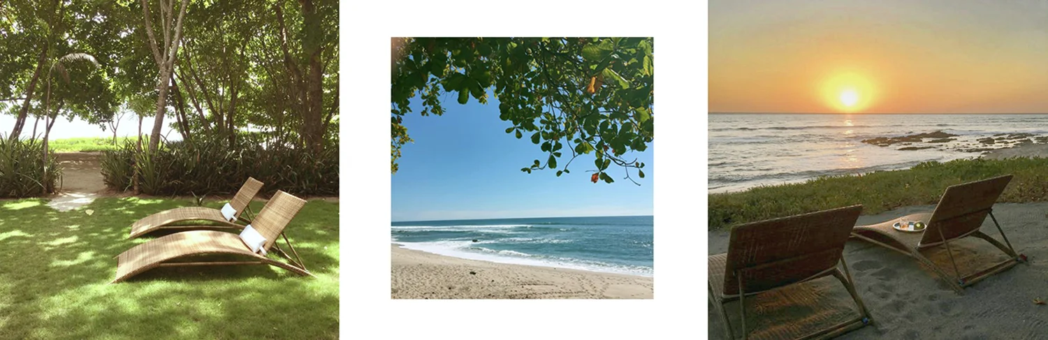 MM_Outside_triptych - new.jpg