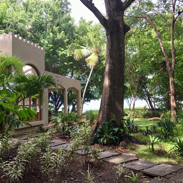 Lush &amp; lovely #greenseason #rain #sun #repeat #luxury #beachfront #vacation #rental #santateresa #costarica #costaricatravel