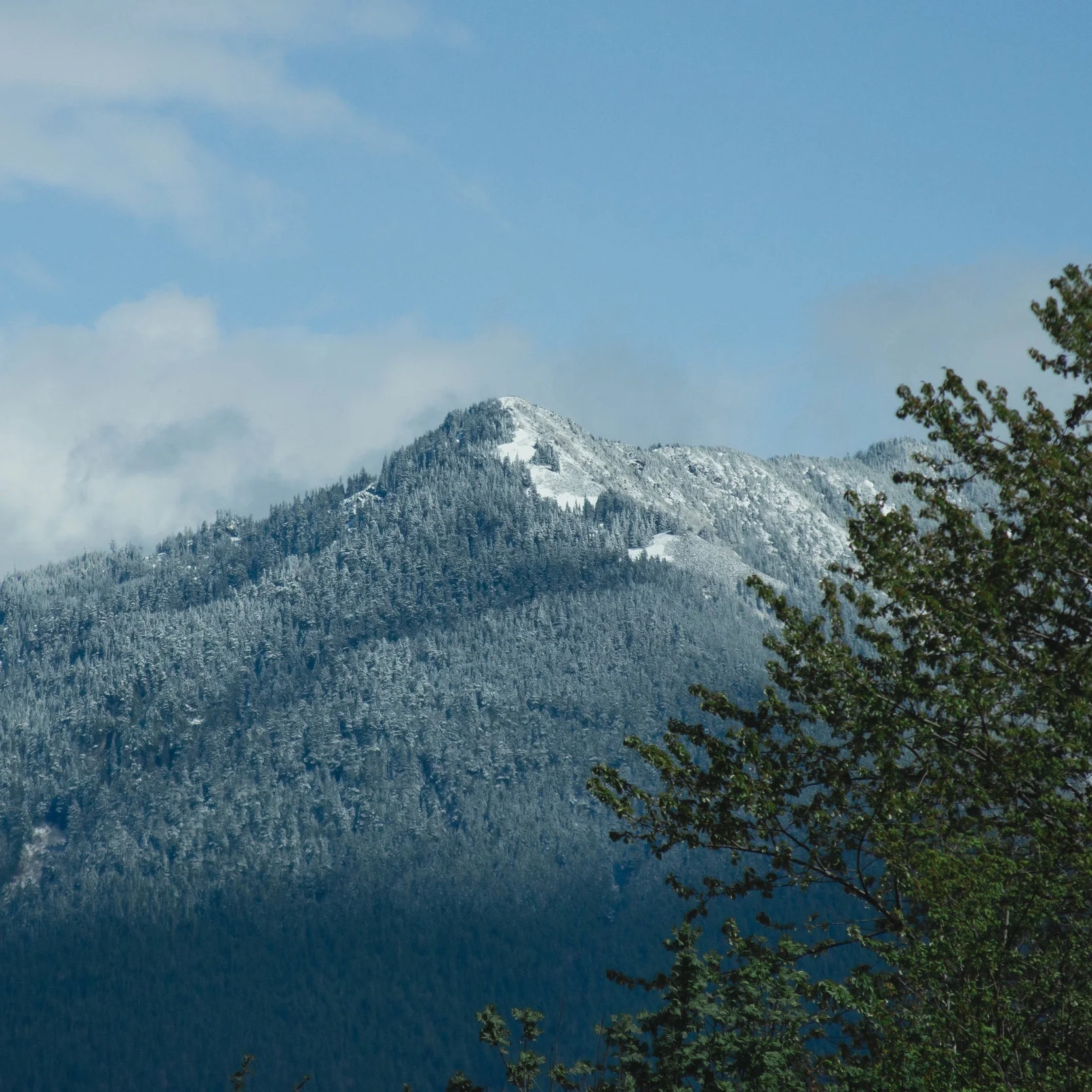 IMG_8725.jpg