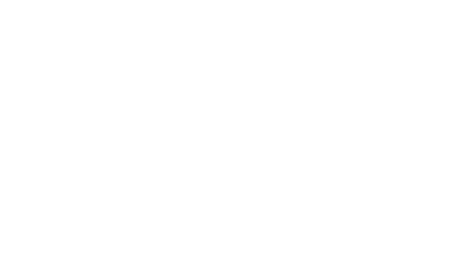 ROAM Beyond