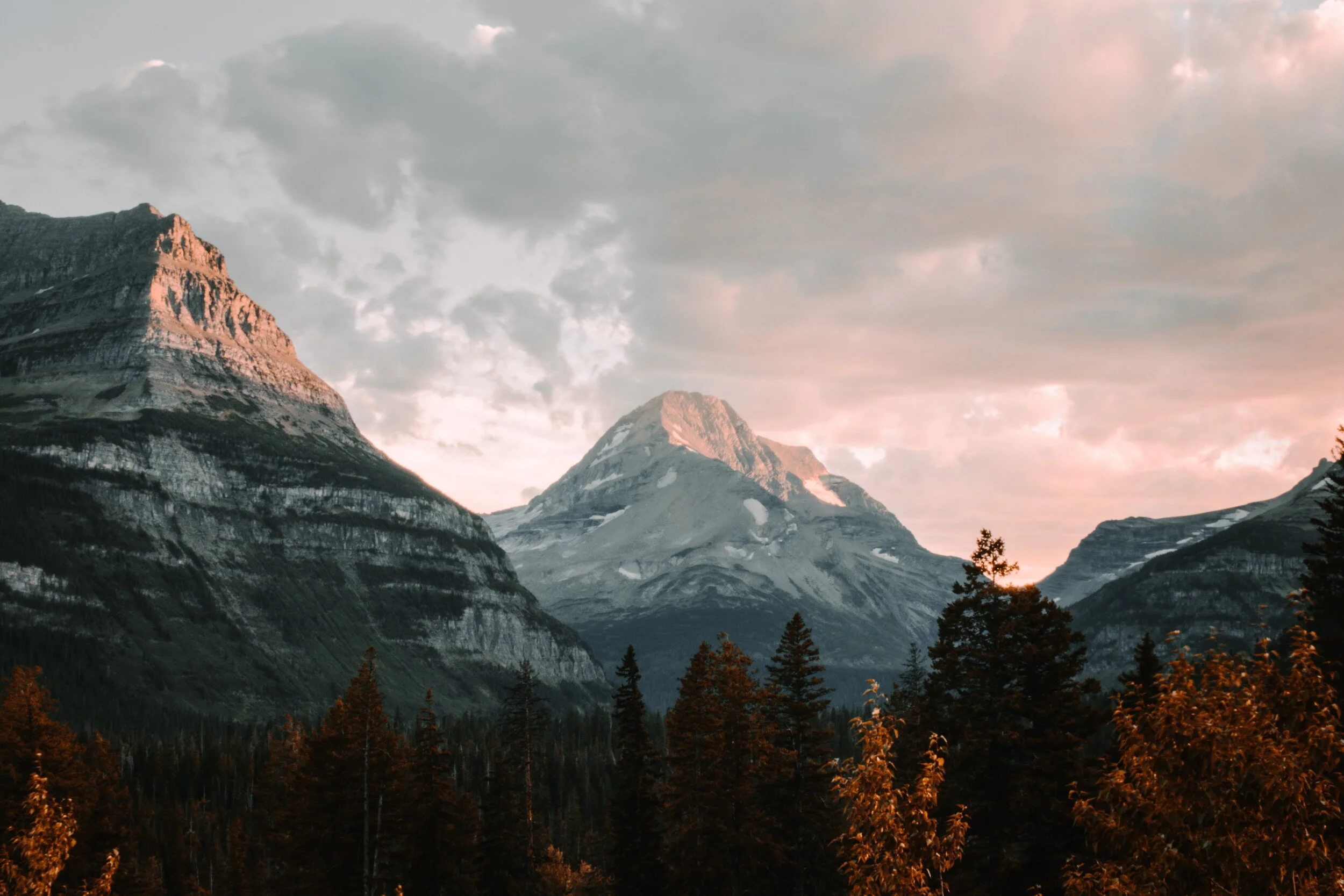 nick-gardner-OkYFhEFDdow-unsplash.jpg