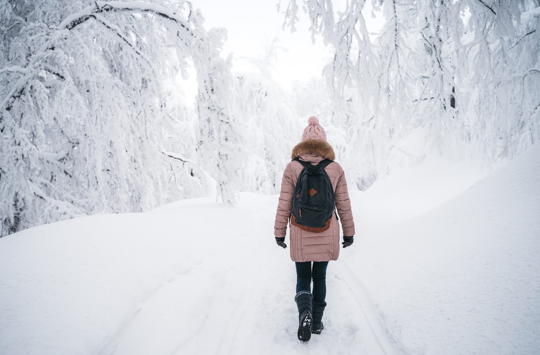 Screen Shot 2020-10-20 at 1.45.40 PM.png