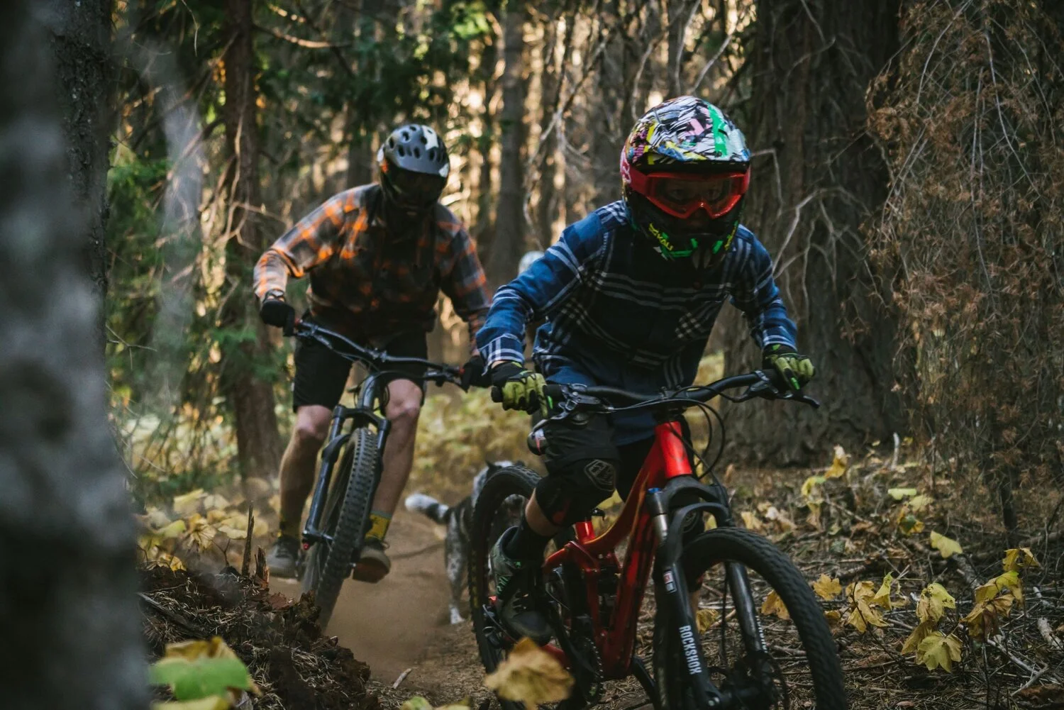 Rotary Wheel Makes Bicycles Roll