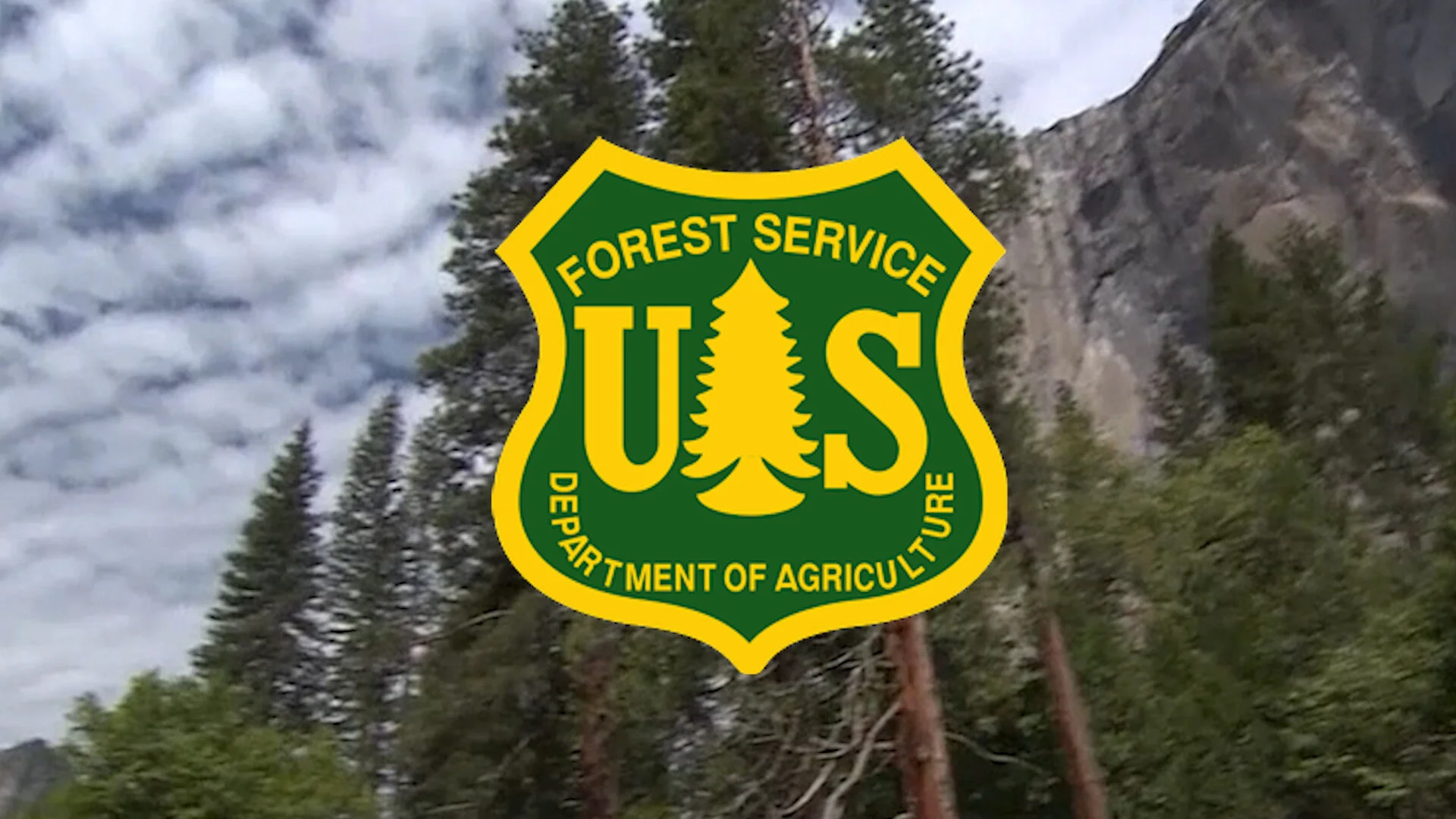 The Shasta-Trinity National Forest (STNF) is seeking public comment.