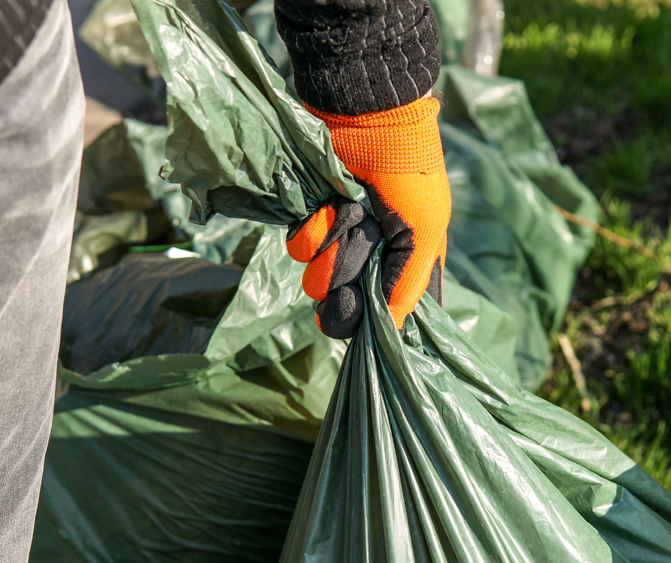 SSC Lake Siskiyou Launch Event &amp; Public Trash Clean Up