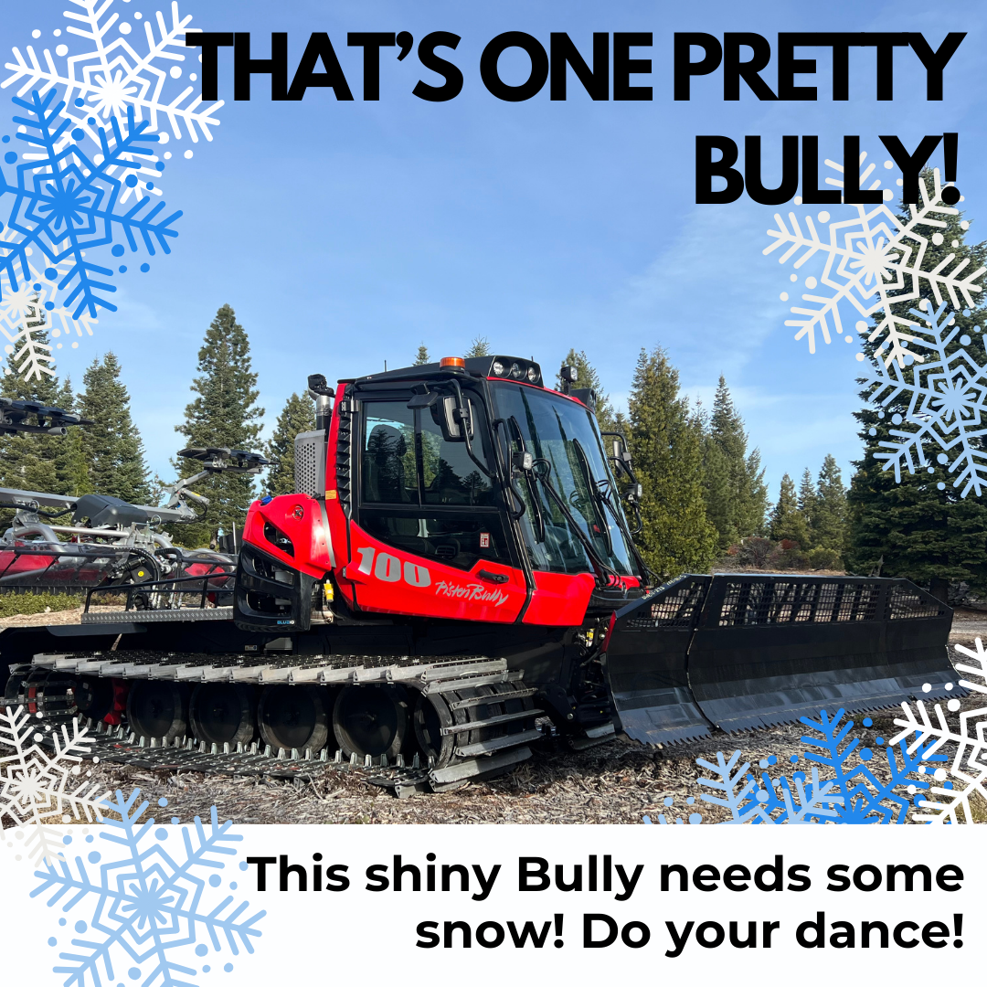 Our New Groomer Is Here! 