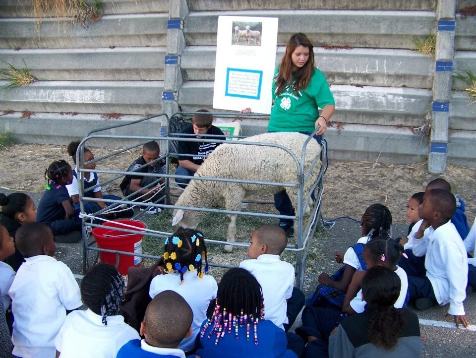 Siskiyou County 4-H Youth Development Program: Mountain Runners