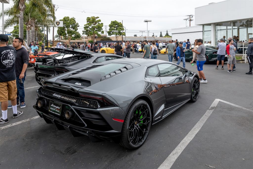 TED_9315-1024x683.jpg
