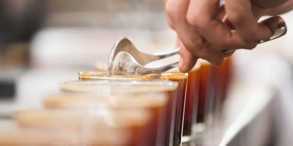 Coffee Cupping