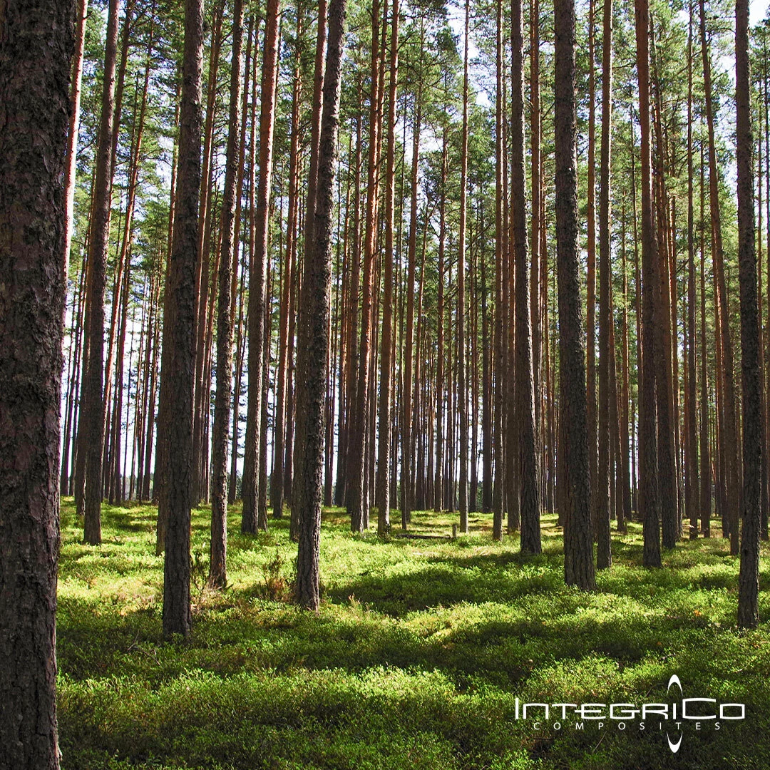 IntegriCo Generic Environment 2019 FB Posting Art.jpg