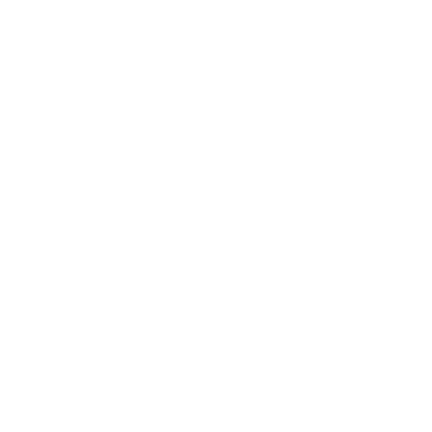 Nicole Marie Salon