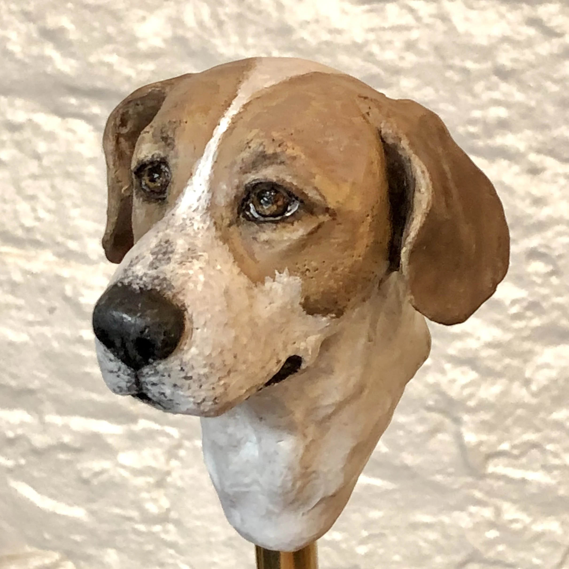 ROSIE