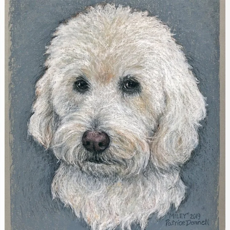 MILEY - Oil Pastel