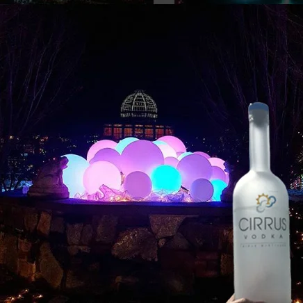 GardenFestOfLights.jpg