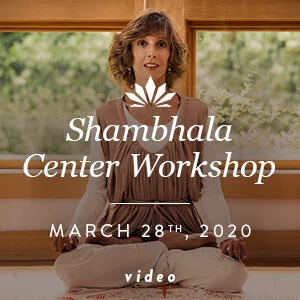LexingtonShambhalaCenter-2020-03-28-video.jpg