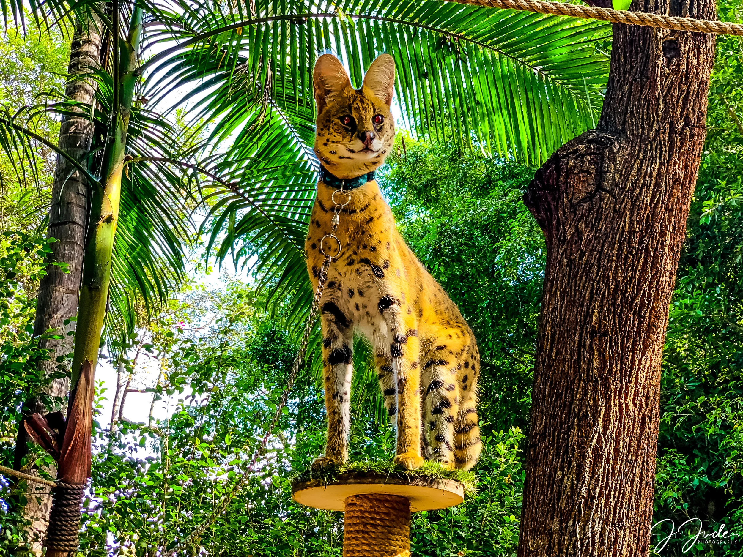 San Diego Zoo, San Diego, CA