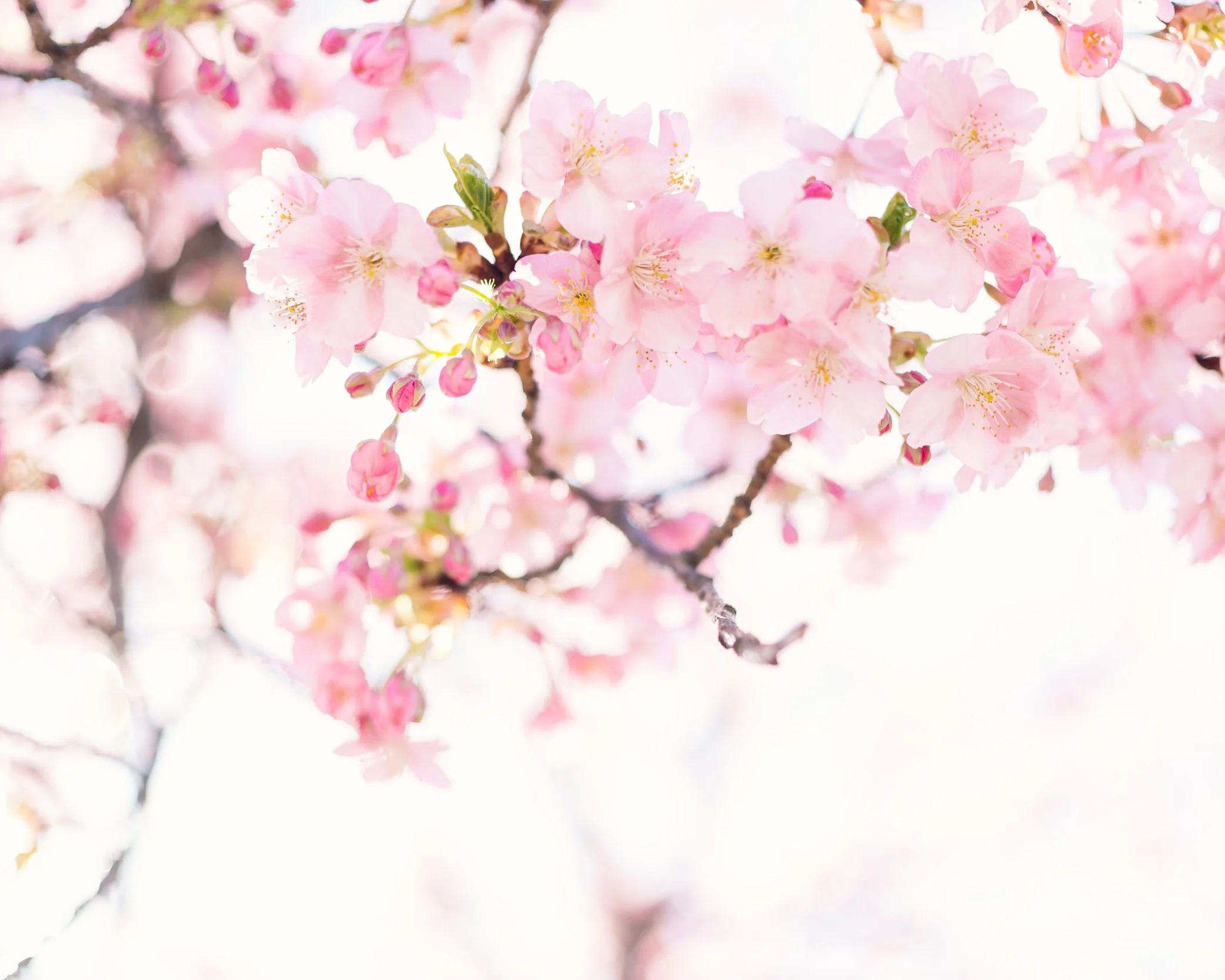 masaaki-komori-579102-unsplash.jpg