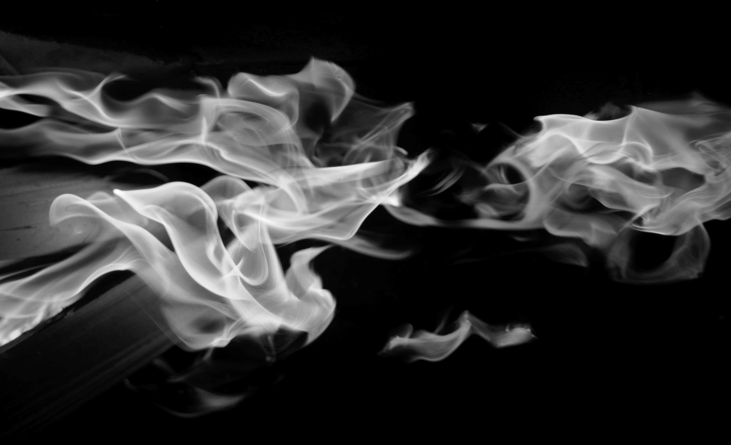 marcus-lofvenberg-489228-unsplash_Cropped.jpg