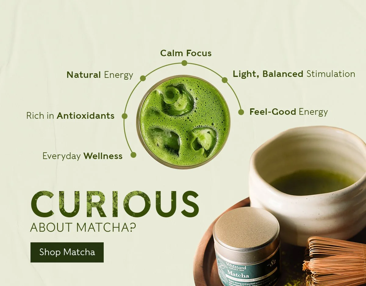 WK25 -Matcha Summer Showcase - Tea Cohort_.jpg