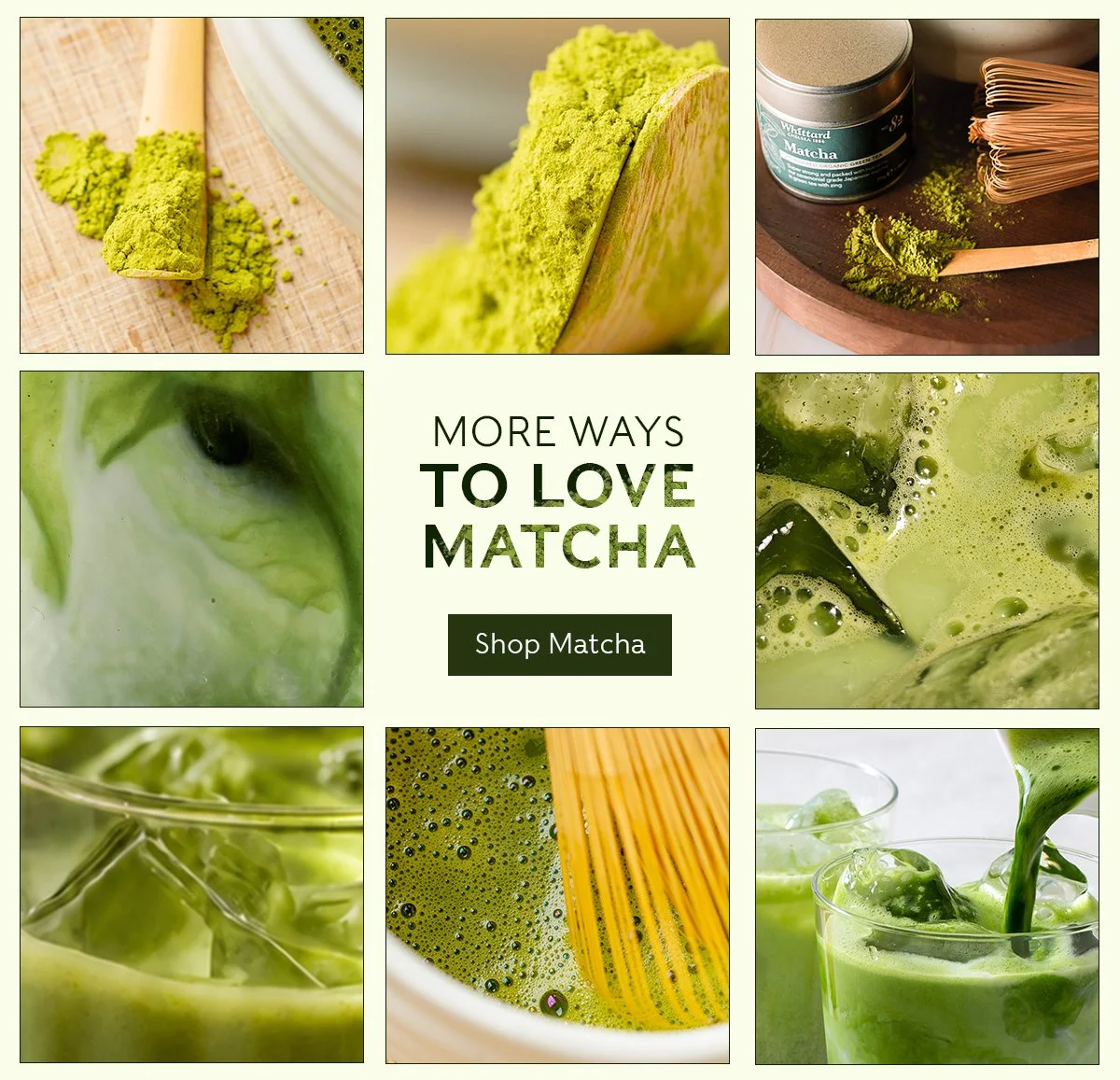 WK25 -Matcha Summer Showcase - Matcha Cohort.jpg