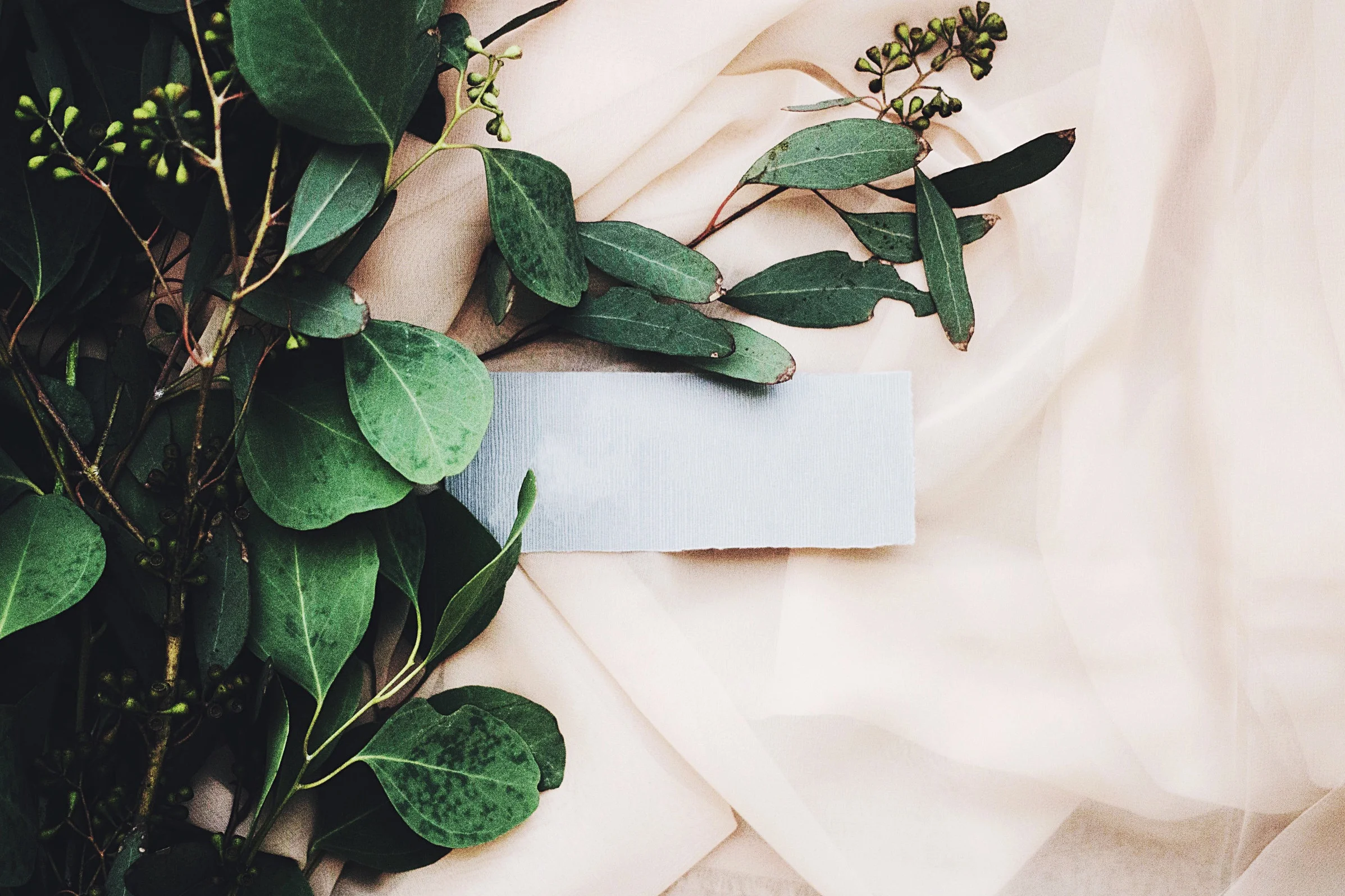 Jazmin Quaynor — Unsplash