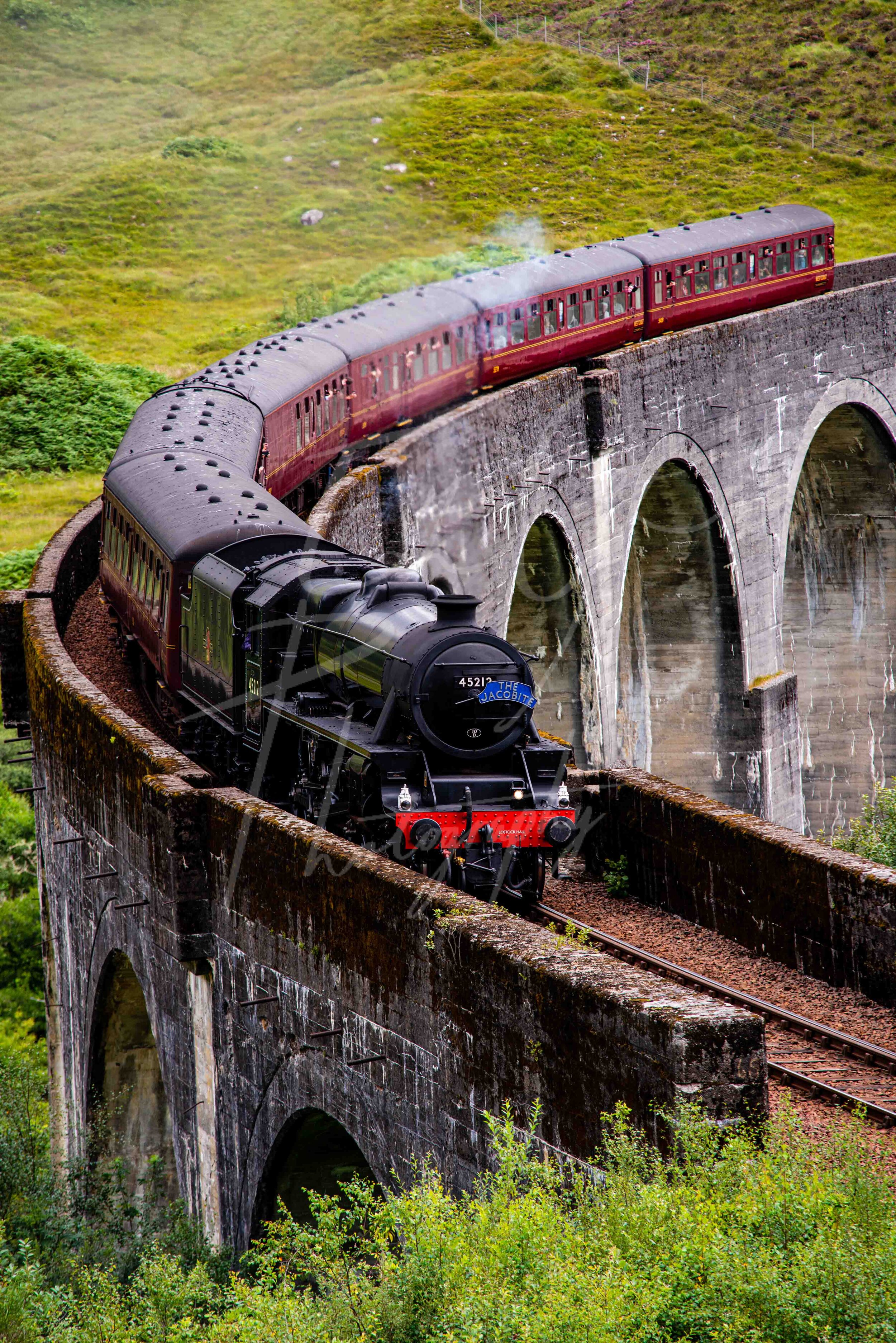 Harry Potter Jacobite