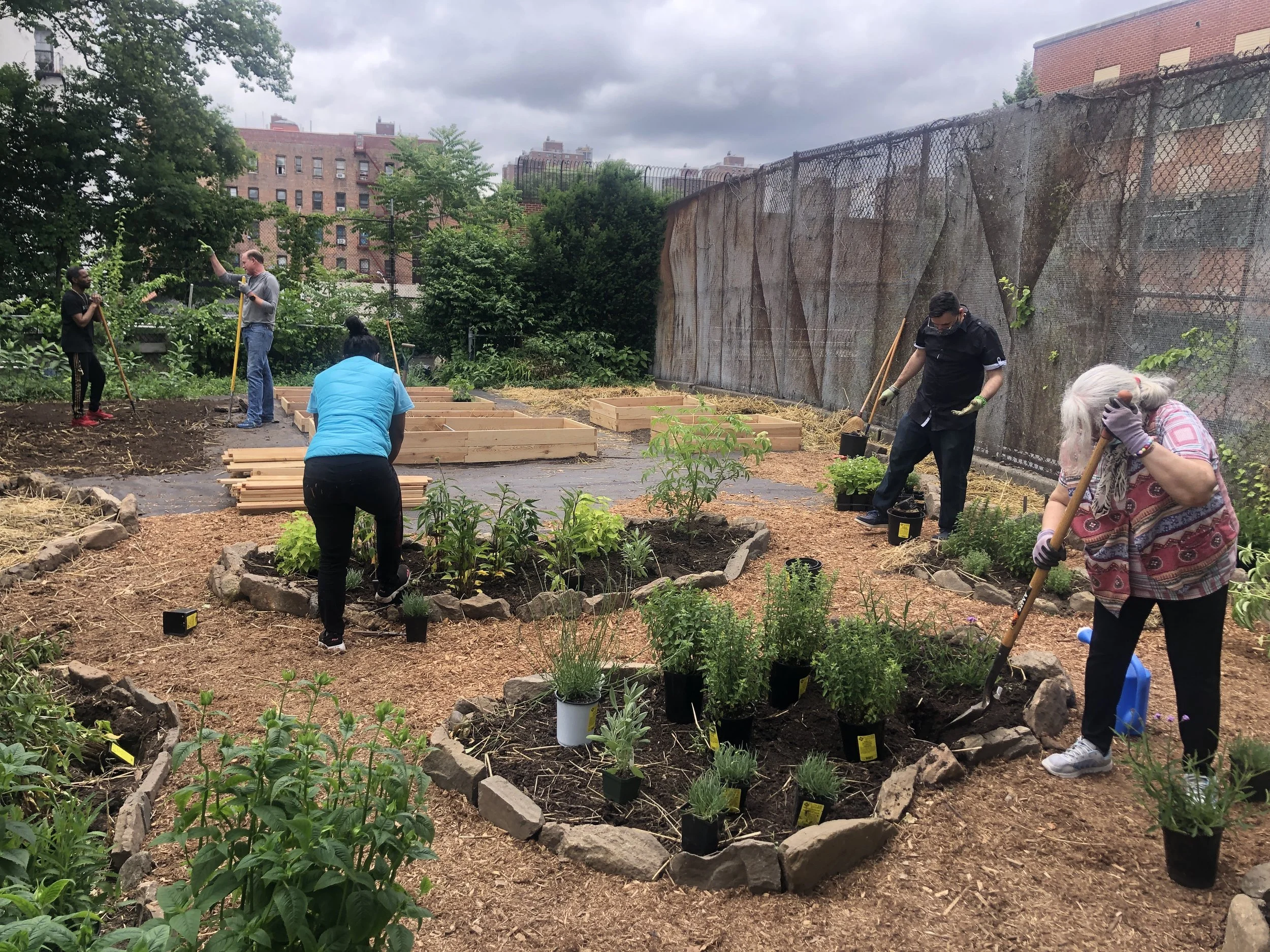  Staff and volunteer’s installing perennial plants. Whenever relevant, I encourage staff and community stakeholders to participate in garden installations. Gardening together supports knowledge creation, accesses existing skills, and builds trust amo