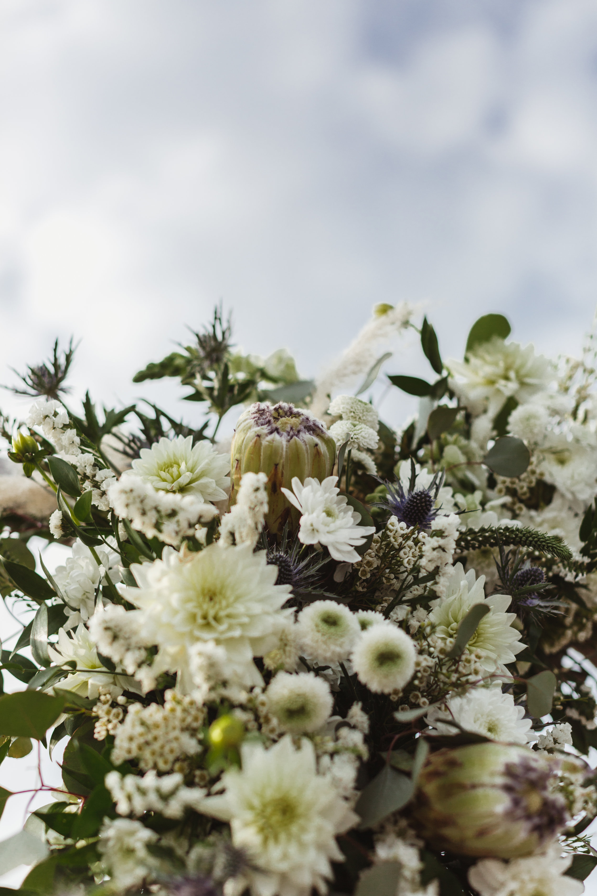 Jamie_English_Photography_JordanErik_Dos_Pueblos_Orchid_Wedding_Santa_Barbara_Fall2018-275.jpg