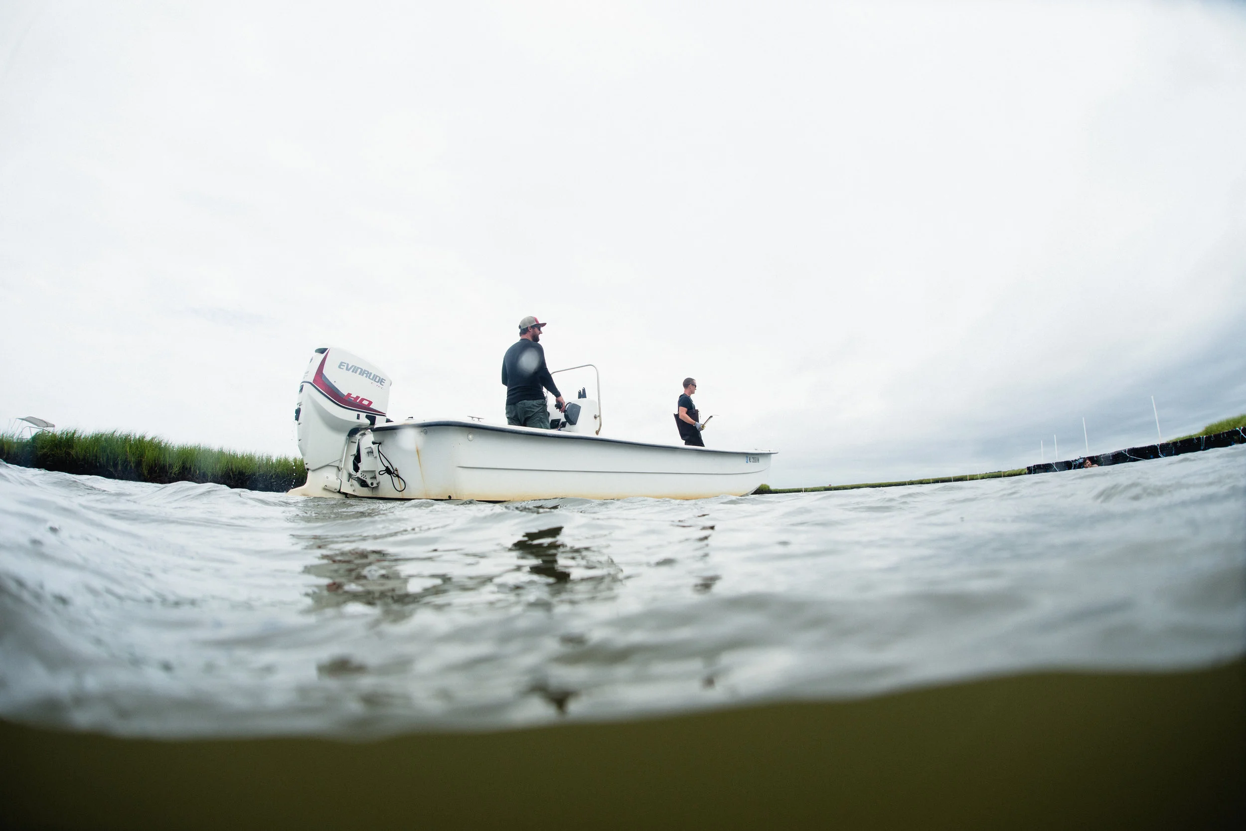 Our oyster co-op at Rose Cove off Tuckerton with Barnegat Oyster is helping to the local economy and environment, while preserving the bayman heritage. Photo: Gronostajski.