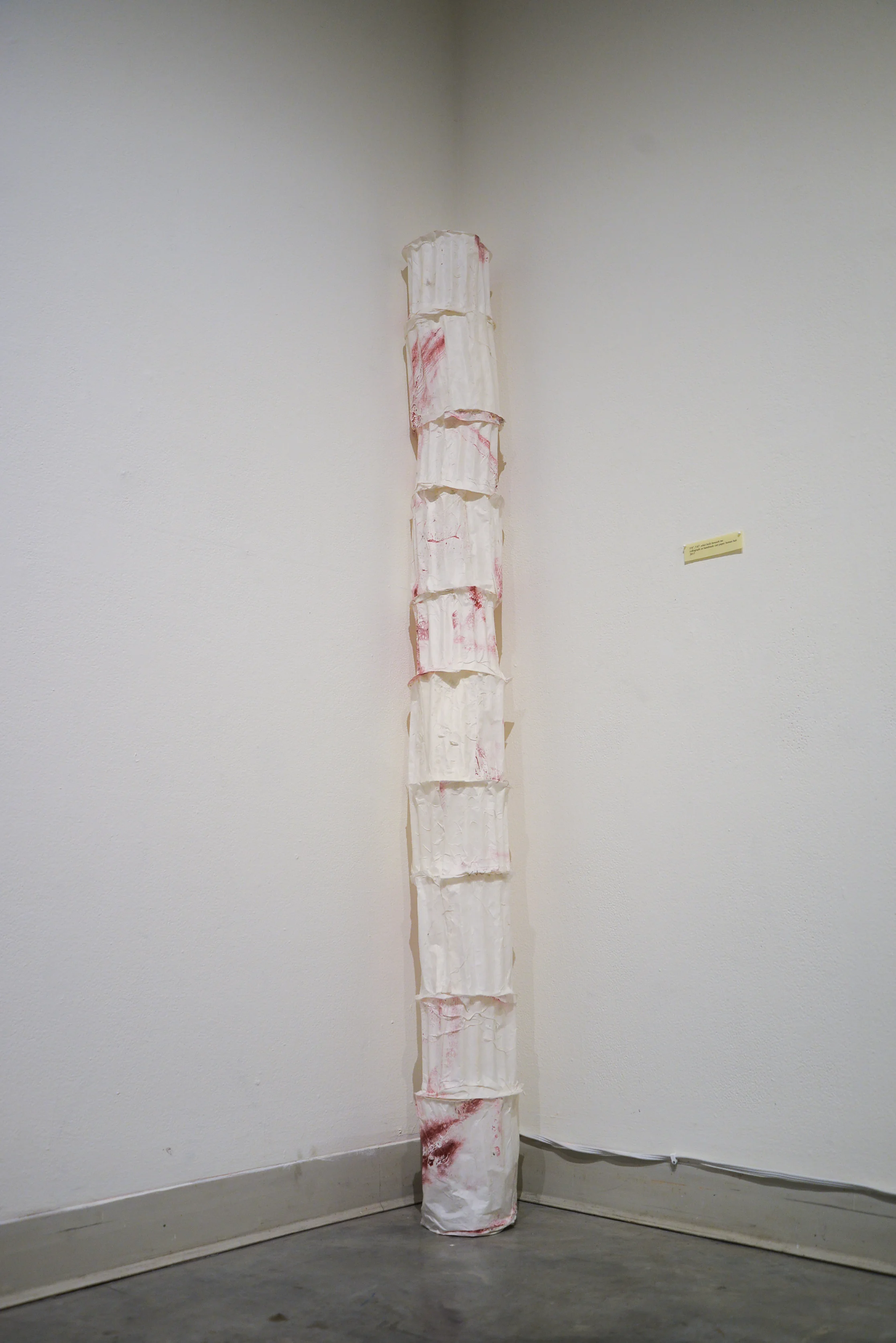 5’8”, 5’8”, what boils beneath me Cast handmade kozo paper, collograph, sound 2017 (Photo taken by Kristina Johnson )