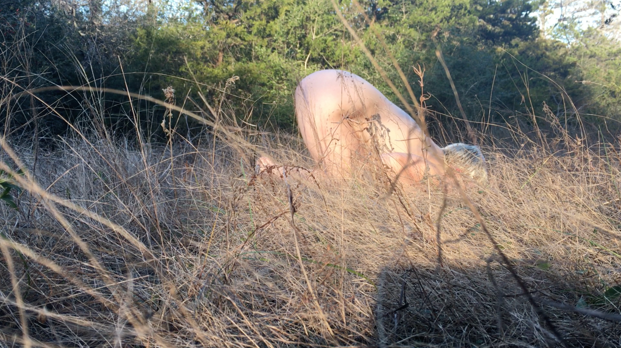   body as rig 1    Still from video piece consisting of performance documentation, images of land surveys, poetry, and schematics of oil rigs, derricks, and pump jacks.    2019  