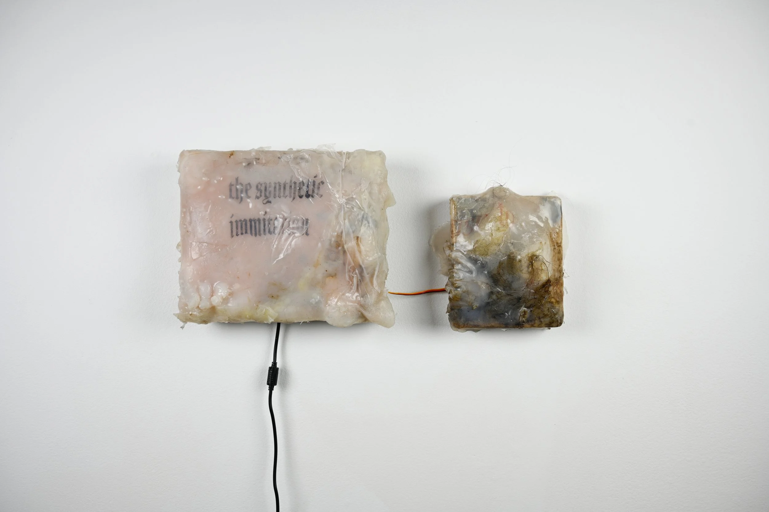 An autopsy of one 2024 Screenprint, painted asphaltum on cast silicone From solo exhibition Sallow at Hair and Nails Gallery, Minneapolis 2024 Photographed by Emma Beatrez