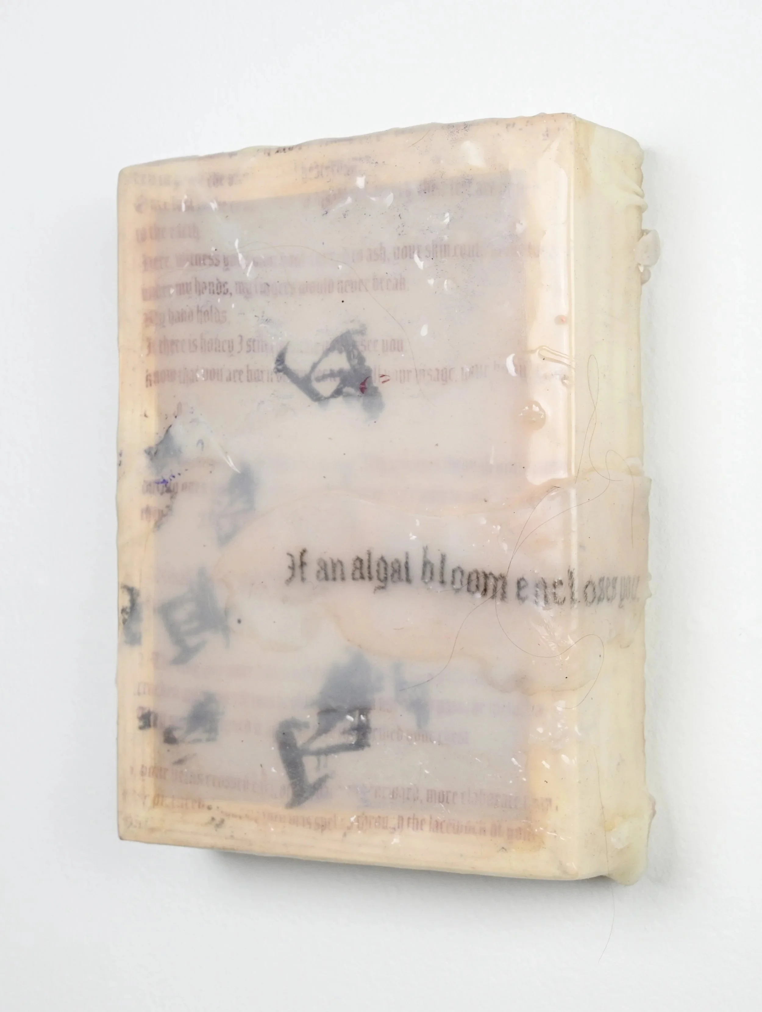 To breathe low in its slumber Screenprint on cast silicone and tattoo ink in silicone.
2024 