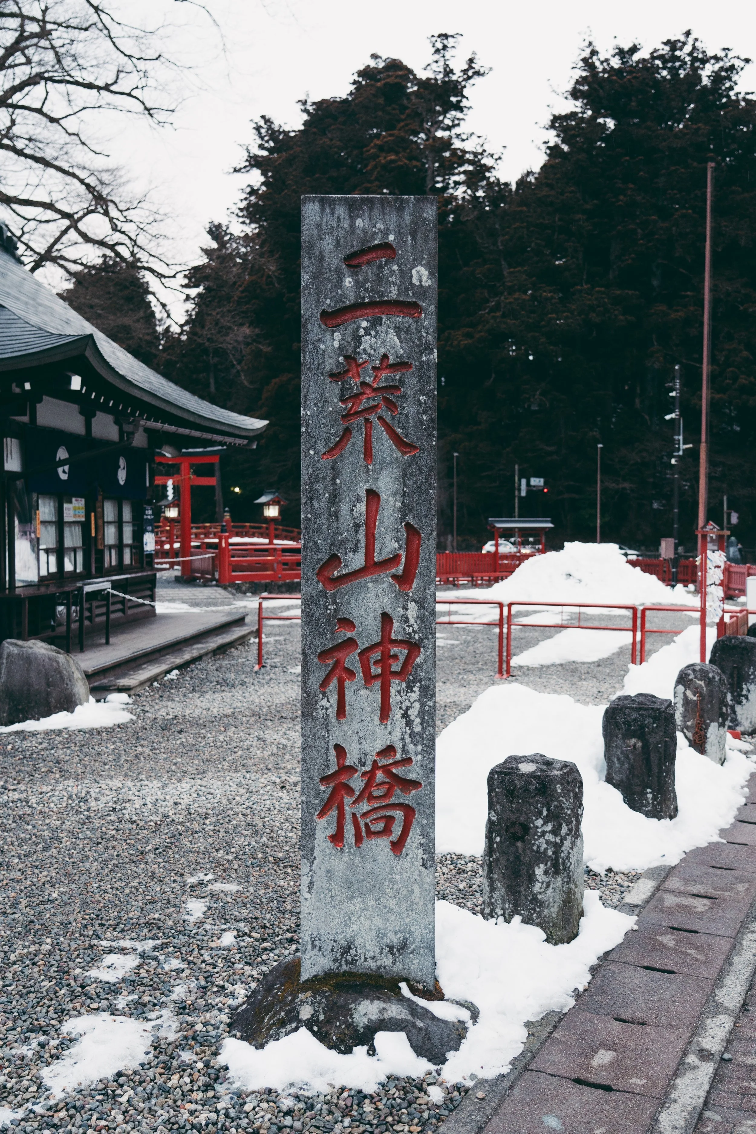 DSC01928.jpg