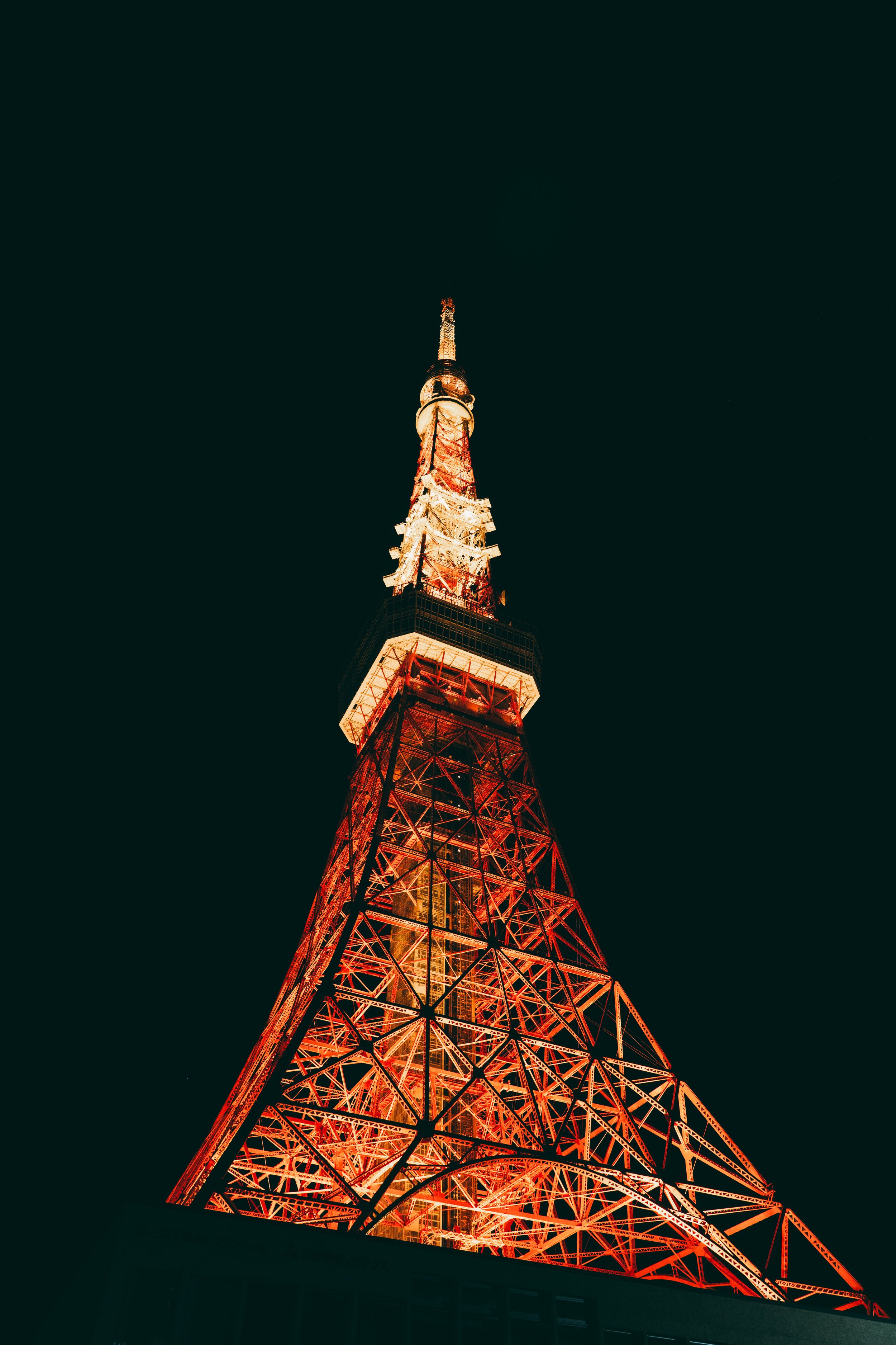 DSC01507.jpg