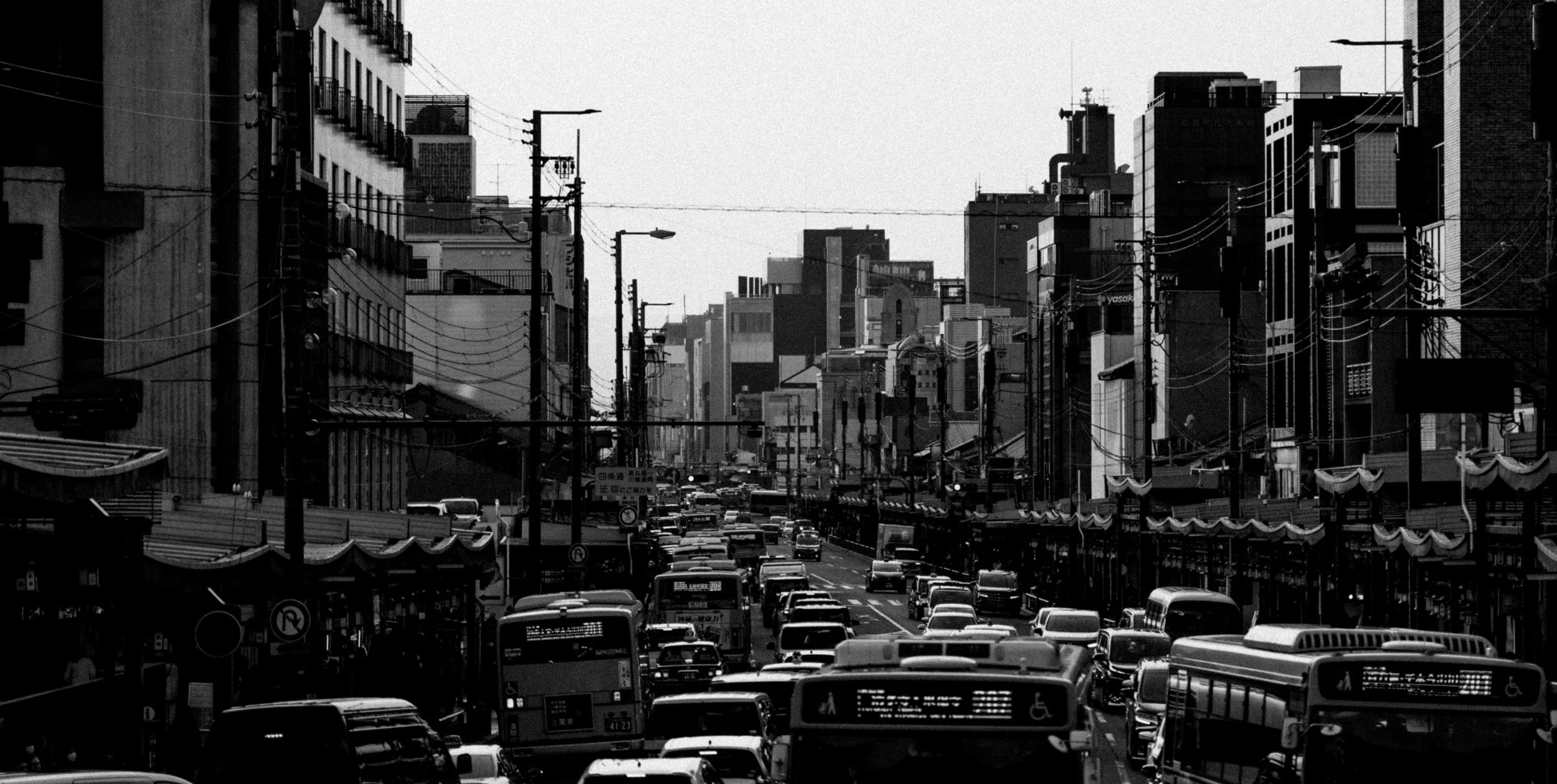 DSC02087.jpg